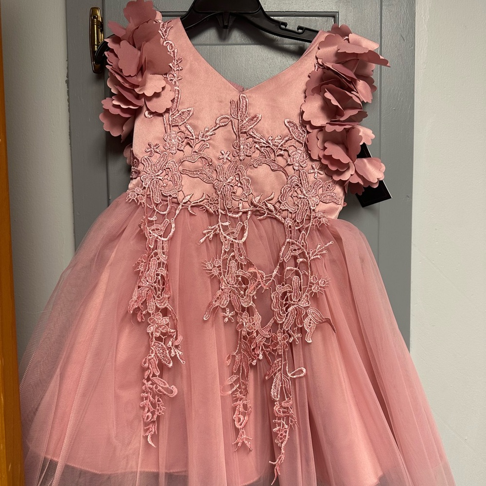 Dressy dress, actually a mauve color